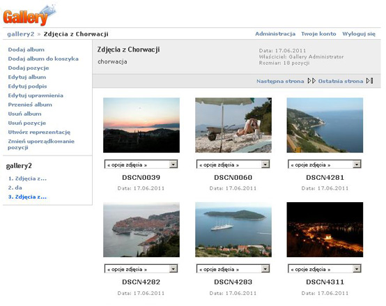 Galeria internetowa