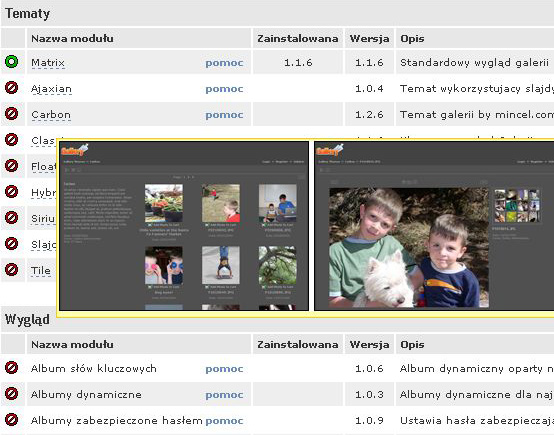 Galeria internetowa
